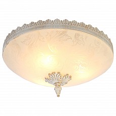 Накладной светильник arte lamp crow...